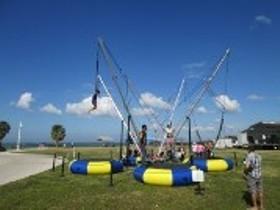 Spider Jump Spider Jump